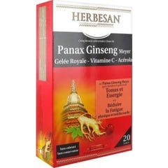 Ginseng Ginseng Royal Jelly 20 ampolas de 15ml