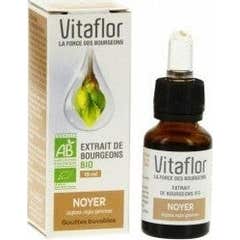 Extracto de Broto de Nogueira Orgânico Vitaflor 15ml