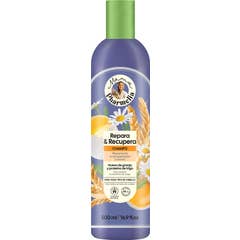 Mama Pharmelia Shampoo Repara e Recupera Todos os Tipos de Cabelo 500 ml