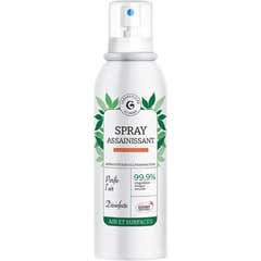 Giphar Spray Purificante 150 ml