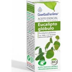 Essência Esential Aroms Eucalyptus Globulo 10ml