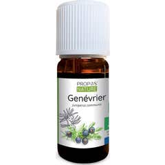 Óleo Essencial Orgânico Junípero 10ml