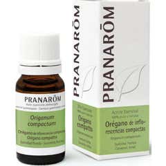 Pranarôm óleo essencial de orégano 10ml