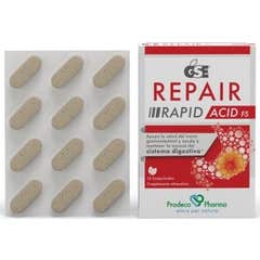 GSE Repair Rapid Acid 12comp