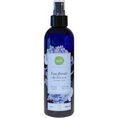 Pharmascience Cornflower Água Floral Orgânica 200ml