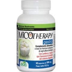 Micoterapia AVD Gastro 90caps
