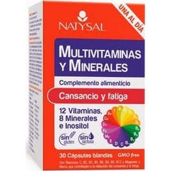 Natysal Multivitamínico Mineral 30 cápsulas