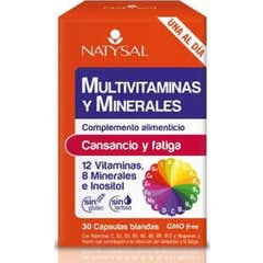 Natysal Multivitamínico Mineral 30 cápsulas