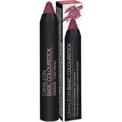 Camaleon Cosmetics Basic Colourstick Nude Marrón 4 gr