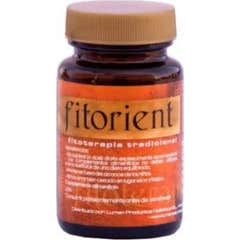 Lumen Fitorient Tr 60comp