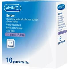 Alvita Apósito Hidrocelular Border 14x15cm 16uds