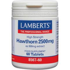 Lamberts Hawthorn White 2500mg 60 Comprimidos Lamberts Hawthorn White 2500mg 60 Comprimidos