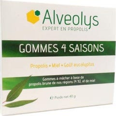 Alveolys Gom 4 Sais de Eucalipto 40G