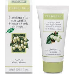 MÁSCARA FACIAL DE ARGILA/POLPA