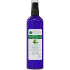 Voshuiles Hidrolato Hortelã-Pimenta Cosmos 100 ml
