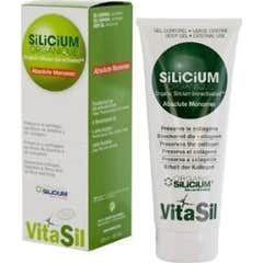 Articulações Vitasil Silicium Organique 225ml