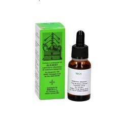 Alkaest Mgs15 Plátano Macerado con Glicerina 20ml