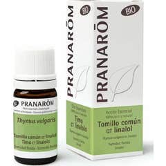 Pranarîm óleo de tomilho comum QT linalol 5ml