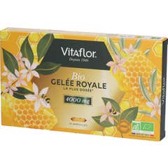 Vitaflor Bio Geléia Real Mais Concentrada 4000mg 10x15 ml