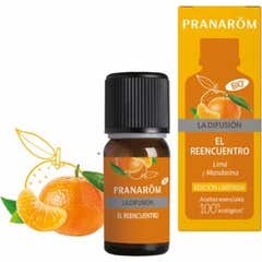 Pranarôm Difusão O Reencontro Bio 10ml