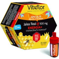 Vitaflor Geleia Real Energia 20amp