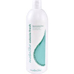 Mebaline Colônia Fresh 1 L