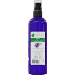 Voshuiles Hidrossol Lavanda Cosmos 100 ml