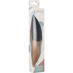 Cartel Paris Escova Reta 7 Fileiras Cabo de Madeira 22.5 cm