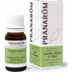 PranarÃ «m BIO óleo essencial de tomilho comum QT timol 5ml