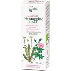 Caira Rosa Llantén Macerado Bio Gotas 50ml