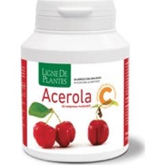 Acerola Bio 60Cps mastigável