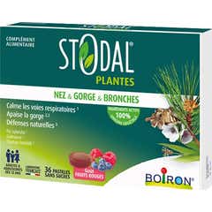 Stodal Plantas Nariz & Garganta & Brônquios Fruto Vermelh 36comp