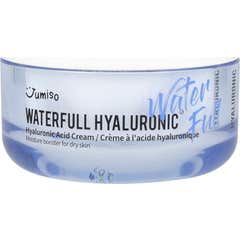Jumiso Waterfull Hyaluronic Acid Cream 50 gr