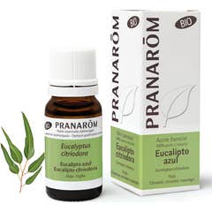 Pranarôm óleo essencial de eucalipto azul ORGÂNICO 10ml