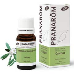 Óleo Essencial de Cajeput PranarÌ «m * 10 Ml