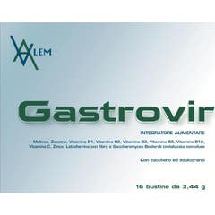 Valem Gastrovir 16x3.44g