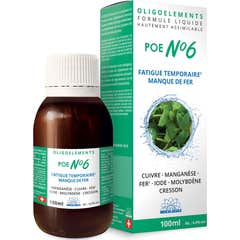 Bioligo Feroligo Complexo Nº6 100ml