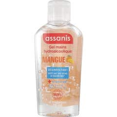 Assanis Pocket Hidroalcoholic Gel Manga 80ml