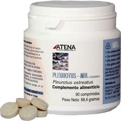 Atena Pleurotus MRL 90comp