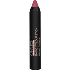 Camaleon Cosmetics Basic Colourstick Nude Rosa Oscuro 4 g
