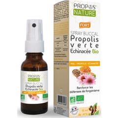 Proponente Spray Bucal Equincea Propleo Verde 15ml