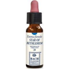 Estrela Herbavita de Belém 10Ml Gtt