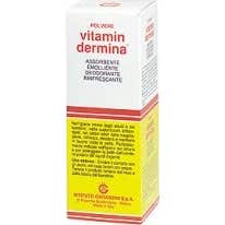 Vitamindermina Lanolina em pó 100G