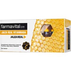 Geléia de vitamina Farmavital 20 frascos