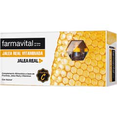 Geléia de vitamina Farmavital 20 frascos