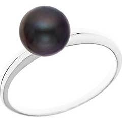 Suporte do Gancho de Faia Preto S2017N