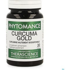 Therascience Phytomance Turmerican Gold 30 Capsules