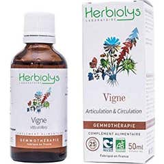 Herbiolys Macerado de Brotes de Vid Bio 50ml