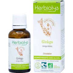 Herbiolys Ginkgo Bio Gemoterapia Sem Álcool 30ml