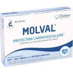 Dielen Molval Protecção Cardiovascular 60 cápsulas